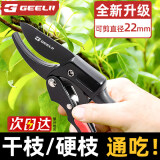 捷立（GeeLii）园艺剪刀 果树剪树枝剪刀  修枝剪花剪树枝专用剪神器 75045