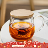 忆壶茶（YI HU TEA）茶杯玻璃茶具加厚喝水杯子茶水分离杯带过滤耐高温男女泡茶马克杯 竹盖泡茶杯 400ml