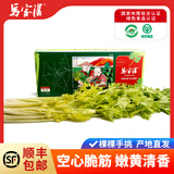 马家沟新鲜蔬菜马家沟空芯芹菜山东特产国家地标生吃的芹菜基地顺丰发货 平马一号礼盒750g礼盒发货