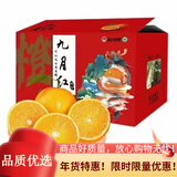 鲜青录秭归九月红果冻橙脐橙 新鲜春橙宜昌伦晚橙子大甜现摘纽荷尔送礼 净重9斤大果（20-24个）