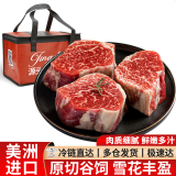 大鲜田 进口谷饲M3原切菲力牛排 净重1kg 厚切雪花牛肉生鲜美洲源头直发