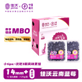 佳沃（joyvio）云南蓝莓MBO系列 14mm+中果 12盒原箱装 约125g/盒 生鲜水果礼盒