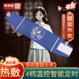 海盐热敷包盐袋电加热艾灸理疗袋热敷袋艾草护腰护膝肩颈椎全身 【刺绣加长护腰款黛蓝色】+四档定时+双层药盐+艾草