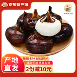 生鲜密语 广西荔浦马蹄5斤 新鲜荸荠地梨地栗 时令生鲜水果 煲汤甜品食材