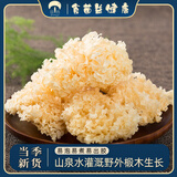 菌益椴木小银耳128g 精选小银耳桂圆莲子百合羹食材