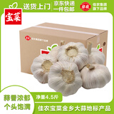 佳农宝菜正宗金乡大蒜直径约5.0cm净重4.5斤地标产品紫皮大蒜源头直发