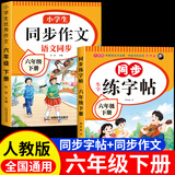 六年级上册下册同步字帖人教版2026小学六年级下册语文同步练字帖写字课课练6年级上下课本生字同步练习上学期钢笔习字帖部编版练字本 六下【2本】语文练字帖+同步作文 小学六年级