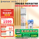 滨特尔（pentair） 净水器家用直饮厨下式超滤前置净水机保留矿物质母婴净水机自来水过滤器饮水机 【推荐】VIR3000S不插电0废水