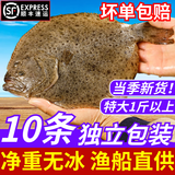 新鲜多宝鱼鲜活冷冻鸦片鱼比目鱼海捕生鲜偏口海鱼菱平鱼海鲜水产 约5-6两/条 5条装(整条发货)
