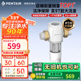 滨特尔（pentair） 前置过滤器大通量家用全屋自来水管道40μm过滤器9吨/H大流量水驱涡轮+反冲洗刮洗净水器 【升级9T/H】S160前置过滤器