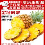 骑猴赶马海南金钻凤梨【削皮即食】手撕菠萝无眼凤梨水果金菠萝水果送礼 【净重9-8.5斤丨精选4-6个】