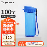 特百惠（Tupperware）茶韵500ML塑料杯 男女学生便携办公用水杯子大容量双饮口 纯净蓝