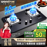 万喜wanxi76B10家用燃气灶液化气天然气大火力台嵌两用双灶煤气灶 天然气