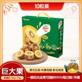 佳沛（zespri）新西兰阳光金奇异果10粒礼盒巨大果单果约146-175g送礼年货礼盒