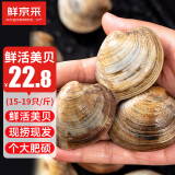 鲜京采【活鲜】大美贝5斤 每斤15-20粒 新鲜蛤蜊花甲 源头直发 海鲜水产