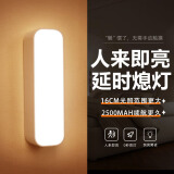 心有所属人体感应灯充电磁吸小夜灯卧室床头起夜灯家用氛围便携酷毙夜光灯