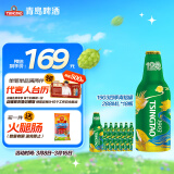 青岛啤酒（TsingTao）经典1903四季常青铝瓶288ml*18瓶整箱装 