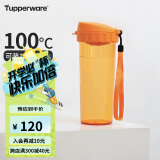 特百惠（Tupperware）茶韵500ML塑料杯 男女学生便携办公用水杯子大容量双饮口 橘花橙