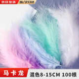 Aseblarm羽毛白色手工diy羽毛装饰天然彩色羽毛摆件填充装饰材料拍照道具 马卡龙混色 100根