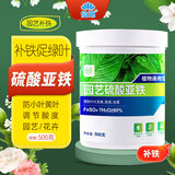 仙葩硫酸亚铁花肥防小叶黄叶改善土壤发财树绣球茶花茉莉花通用水溶肥