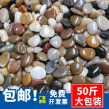 裕漫天50斤鹅卵石铺路铺地庭院花园造景天然大小石头雨花石原石鹅软暖石 50斤 精抛五彩0.8~1.8cm