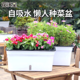 花沃里花盆自吸水长方形种菜盆 塑料双层加厚种植箱种菜箱多肉塑料花盆