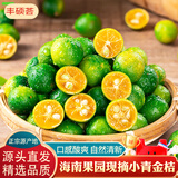京地达海南现摘新鲜小青桔金桔1斤装青柑青柠檬小金橘子源头直发包邮