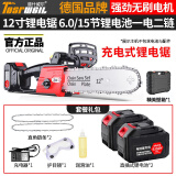 道什威尔（TOSRWELL）德国大功率锂电锯电链锯家用油锯木工果园修枝电锯伐木锯电动农具 【高配款】15节无刷二电二链条