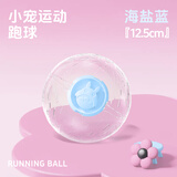 宠尚天 仓鼠跑轮球龙猫大号转轮带支架松鼠仓鼠金丝熊用品玩具 水晶跑球 蓝12.5cm