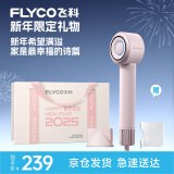 飞科（FLYCO）高速电吹风机家用负离子护发吹风筒速干便携新礼物钻石粉FH6371