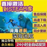 热门游戏steam游戏cdkey激活码单机电脑游戏兑换码入库永久pc 深海迷航 豪华版（激活码）游戏本体+全DLC