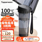 特百惠（Tupperware）茶韵500ML塑料杯 男女学生便携办公用水杯子大容量双饮口 酷炫黑