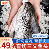 朵芙挪威三文鱼排 鱼脖 3斤  鱼腩条三文鱼头 碎肉边角料新鲜三文鱼扒 超大三文鱼头 750g *3只