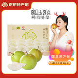 梨贡士隰县梨园 山西隰县玉露香梨 临汾馆玉露香梨脆甜多汁梨子特产 15颗中大果（9斤装）