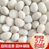 大海边【12仓速发】5斤鹅卵石铺路铺地庭院园林造景天然大小石头雨花石 精抛白色3.0-5.0cm【5斤装】