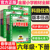 可选】薛金星小学教材全解六年级上下册语文数学英语课本全套解读教辅资料书人教版 北师版 西师版 外研版 【3本】下册 语文+数学+英语 人教版 6年级