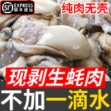 蟹君宝鲜活生蚝现剥生蚝肉新鲜牡蛎肉蛎蝗去壳纯蚝仔肉生鲜海鲜水产盒装 2盒装/生蚝肉 每盒约15个 送蒜蓉