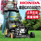 摩克斯本田引擎GXV160汽油割草机 四冲程手推式草坪修剪机果园除草机