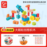 Hape(德国)儿童积木玩具榫卯大颗粒木质拼插创想积木男女孩礼物E0519