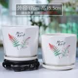 裕轩堂花盆陶瓷家用吊兰蝴蝶兰绿萝带托盘大号个性阳台简约多肉室内套装 67094(两个大号) 中等