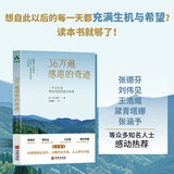36万遍感恩的奇迹 唤醒内心的善念 学用每一次感恩来创造人生幸福 畅销书 图书