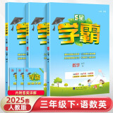 2025春新版 5星学霸三年级下册语文数学英语人教版RJ 经纶五星学霸3下作业本天天练专项训练习