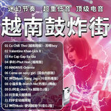 越南鼓DJ音乐U盘炸街串烧咚鼓DJ舞曲酒吧重低音嗨曲DJ电音潮流DJ 越南鼓DJ-880首+200视频