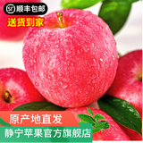 静宁苹果 【顺丰到家】甘肃红富士苹果水果 新鲜应季静宁苹果 净重4斤70-75mm小果约12枚