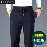 吉普JEEP超薄冰丝休闲裤男高弹力夏季薄款宽松直筒顺滑透气运动卫裤子 Jp0016蓝色 春秋款 L （适合130斤~140斤）