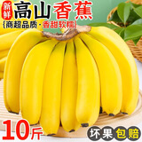 左格（ZUOGE）云南高山大香蕉10斤装 香甜软糯青蕉香蕉当季新鲜现砍水果整箱 5斤 精选一级蕉气柱装 5斤 青蕉发货