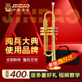 津宝专业小号 JBTR-050 初学者演奏级儿童成人降B调漆金小号乐器