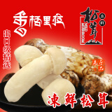高原云品【冻鲜松茸】香格里拉不开伞 松茸新鲜速冻 送礼品袋 冻鲜松茸8-10厘米500克