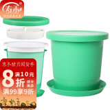 寿禾 豆苗种子豌豆苗冬春季菜芽苗菜种籽蔬菜四季绿豆菜籽 豆芽罐小号 1个