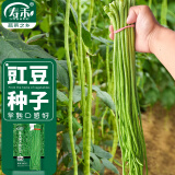 寿禾豇豆种子长四季豆蔬菜菜籽 潍育系列摘不败豇豆种子200g(大规格)